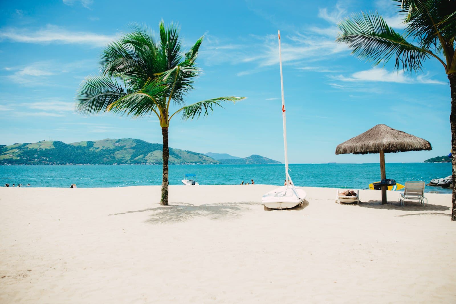Palm trees and a thatched umbrella on a bright sand beach